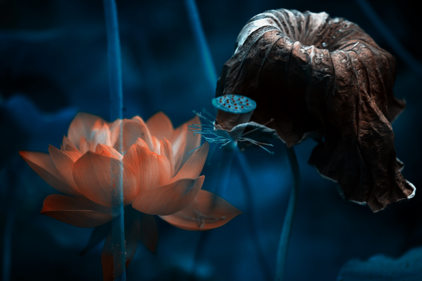 �й���� (3).jpg