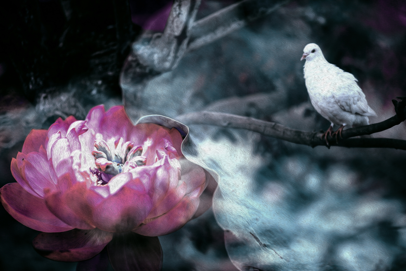 �й���� (5).jpg