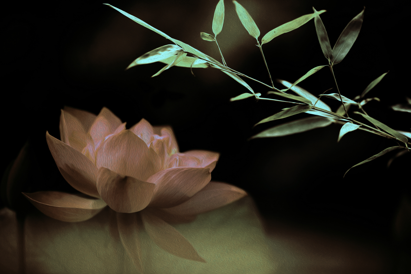 �й���� (6).jpg