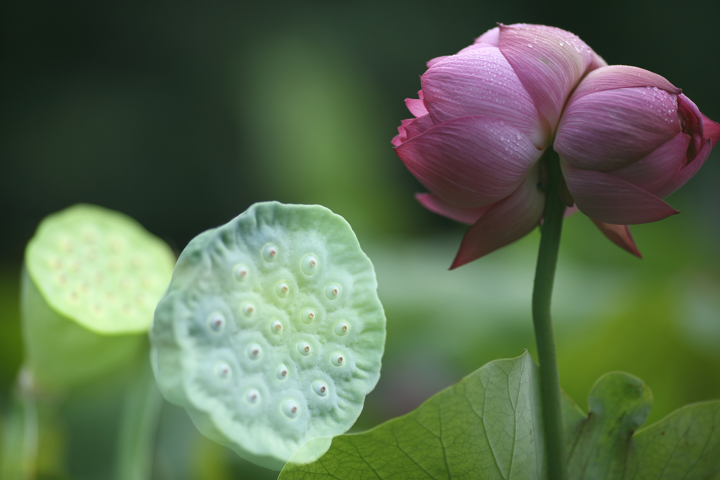 �й����ԭƬ (3).jpg