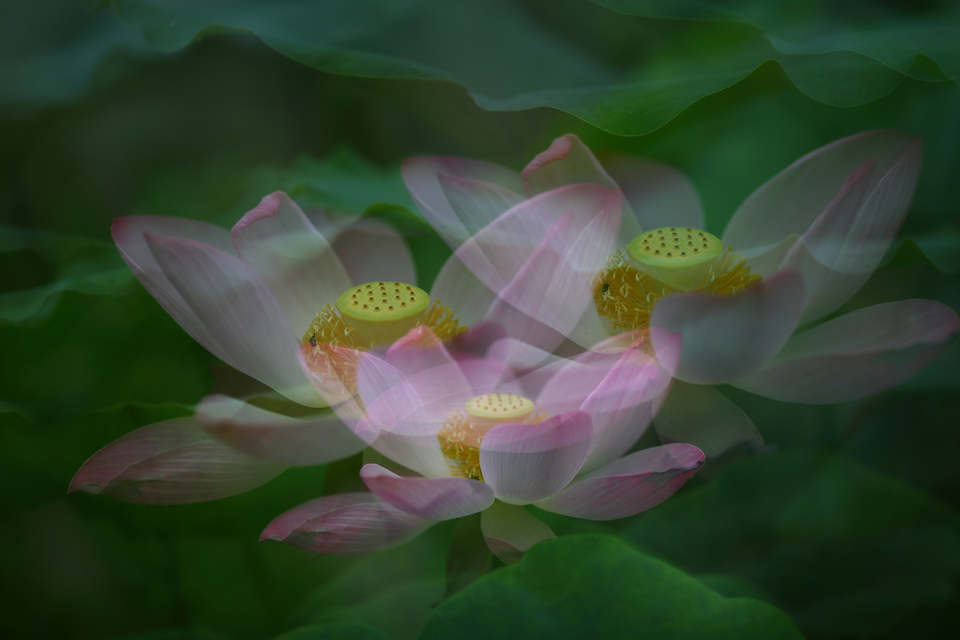 �й����ԭƬ (7).jpg