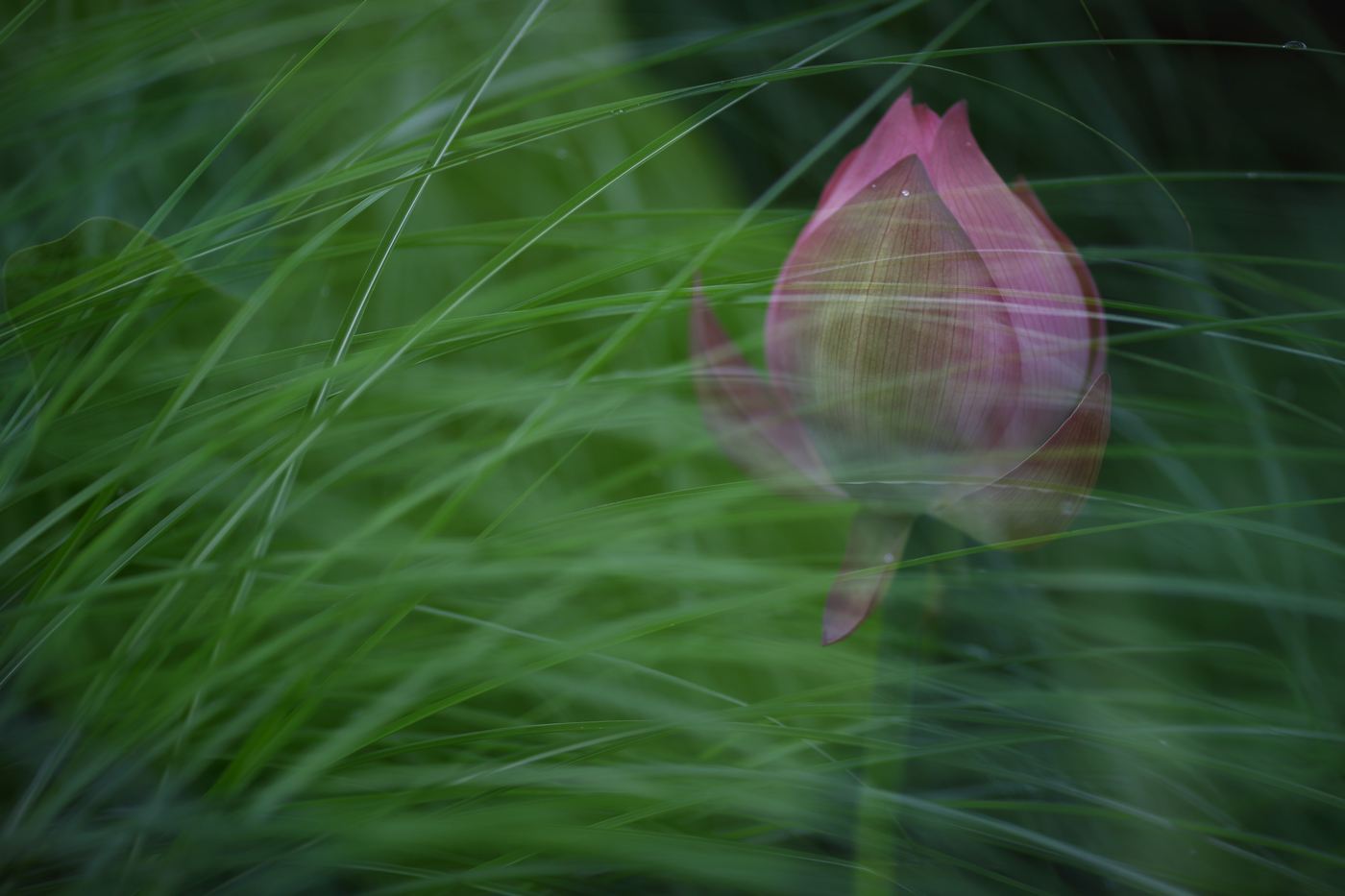 �й����ԭƬ (12).jpg