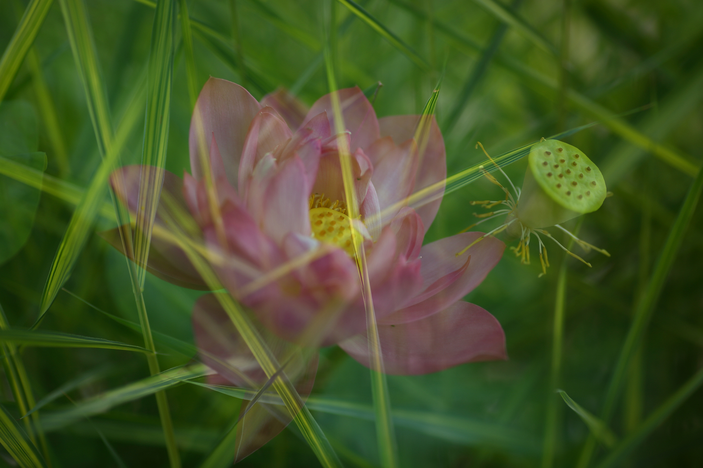 �й����ԭƬ (19).jpg