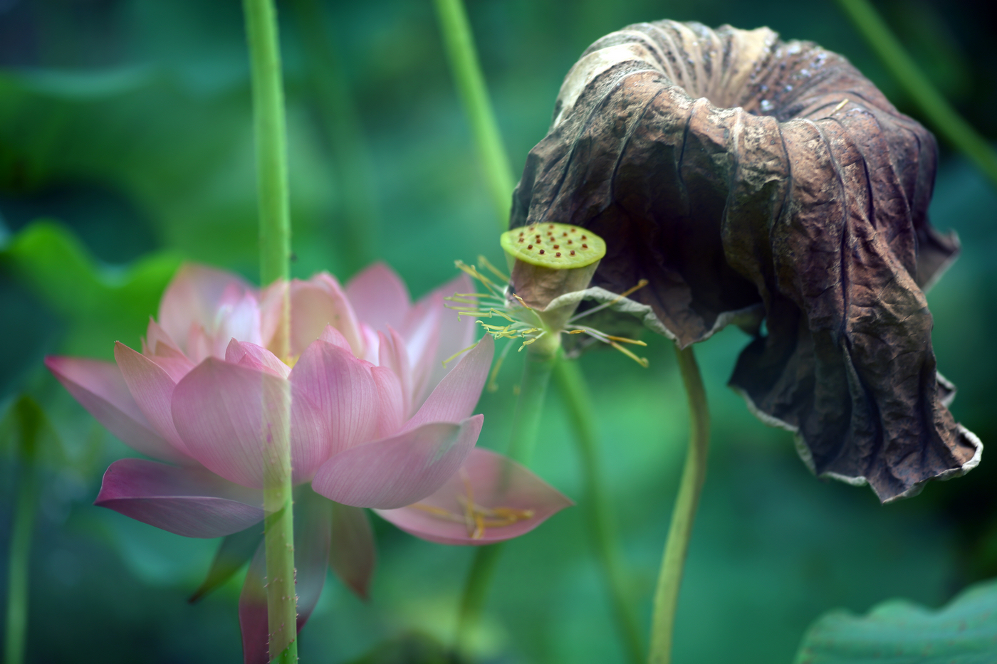 �й����ԭƬ (20).jpg