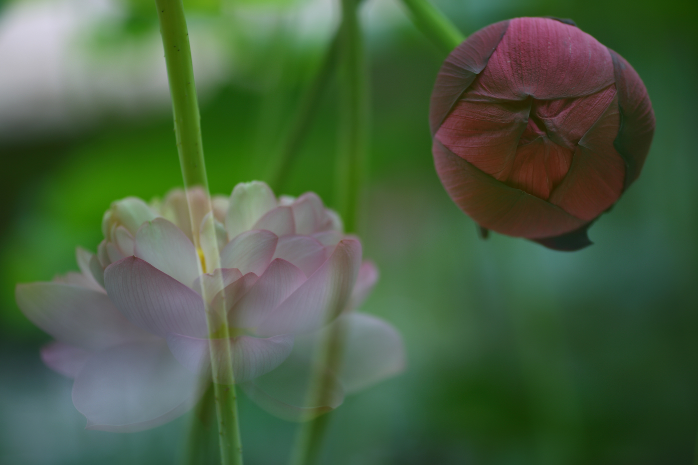 �й����ԭƬ (21).jpg