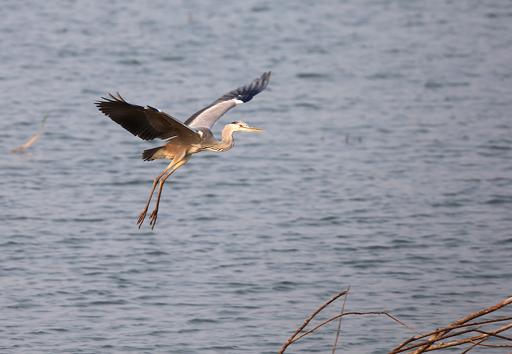 H46R3926 - ����.jpg