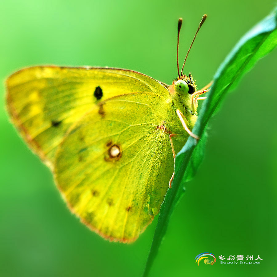 DSC_0429 ����.jpg