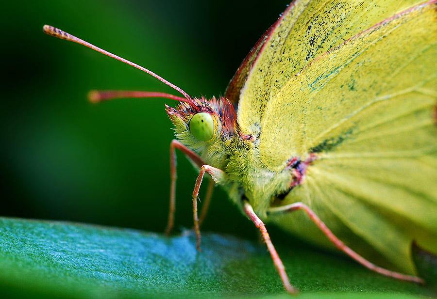 DSC_0407 ����.jpg