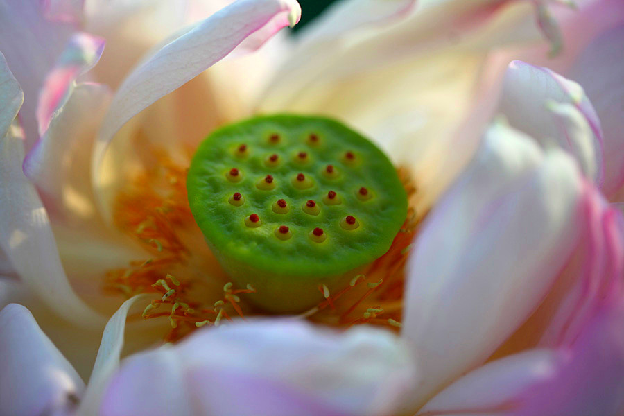 IMG_2013 (52)_����.jpg