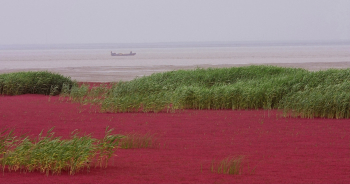 �̽��캣̲ IMG_8299����.jpg