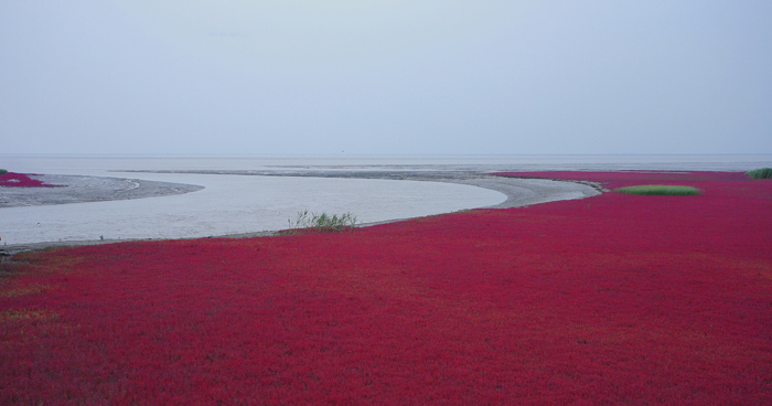 �̽��캣̲ IMG_9255����.jpg