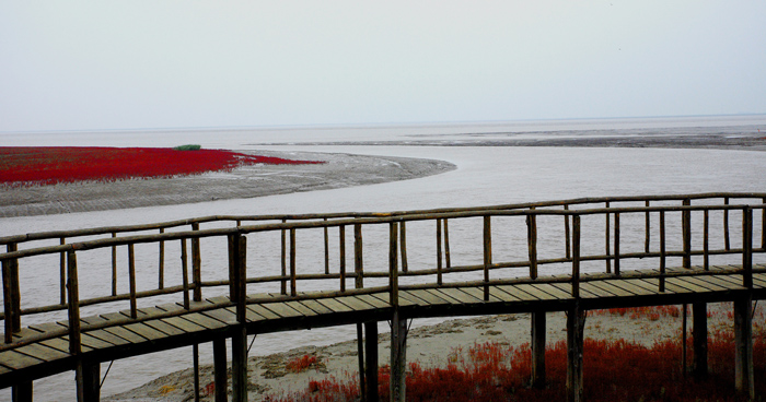 �̽��캣̲ IMG_9257����.jpg