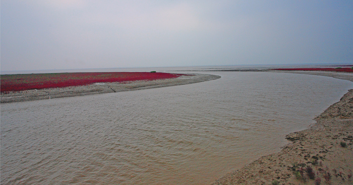 �̽��캣̲ IMG_9261����.jpg