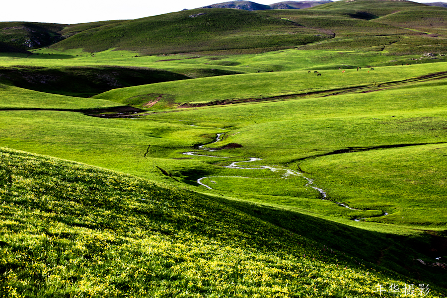 ��������2