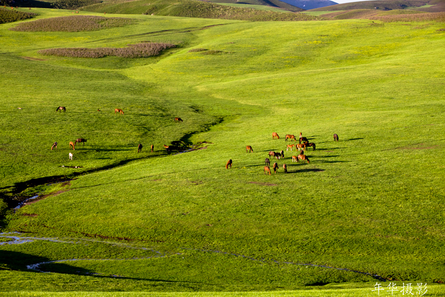 ��������3