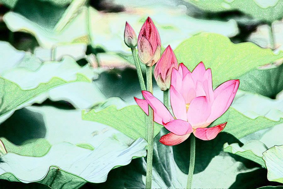 �����ɻ���Ƭ (8).jpg