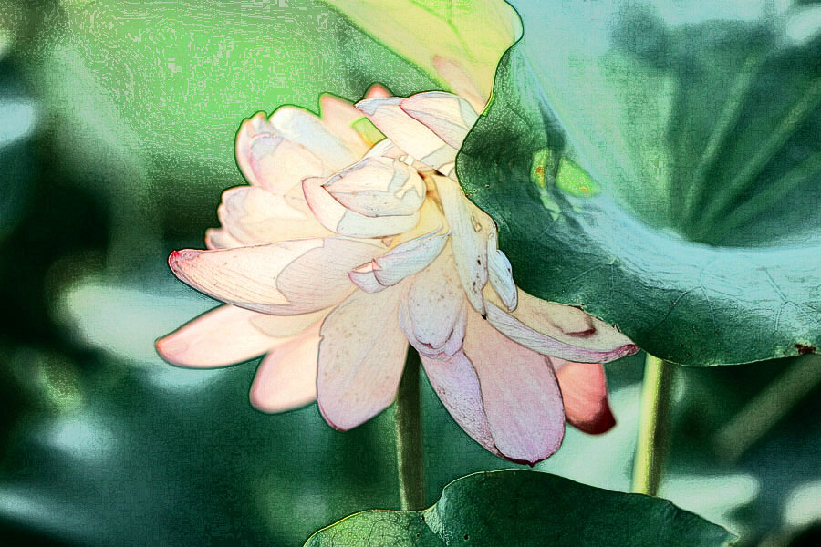 IMG_2013 (104)_����.jpg