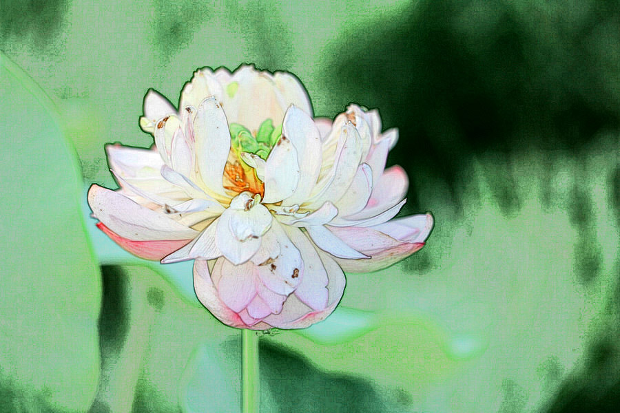 IMG_2013 (143)_����.jpg