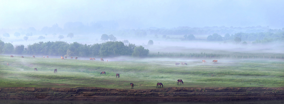 ���� ����