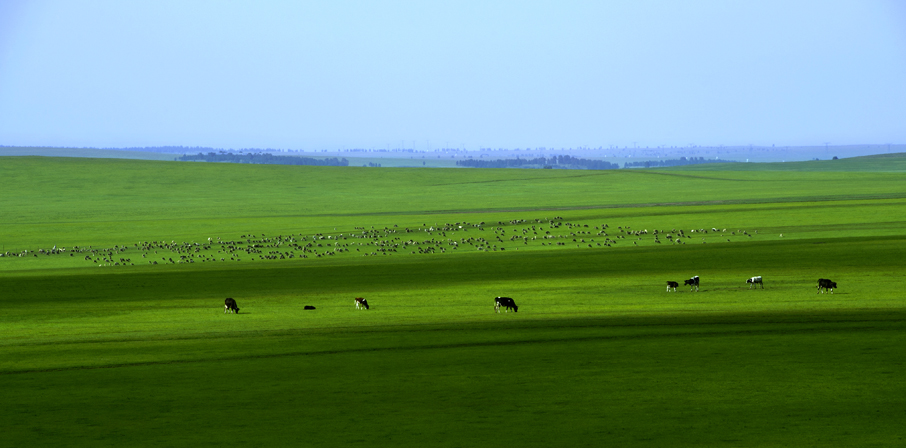 _LFB9972 ����1.jpg