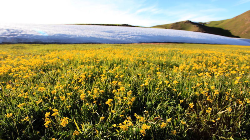 �����ǿ˲�ԭ4