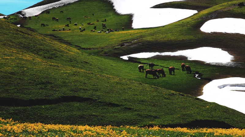 �����ǿ˲�ԭ7