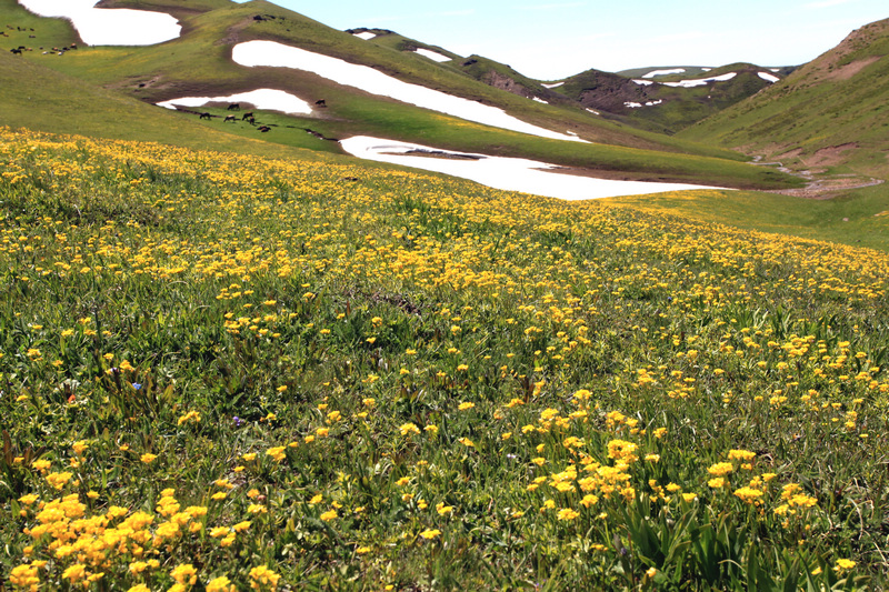 �����ǿ˲�ԭ9