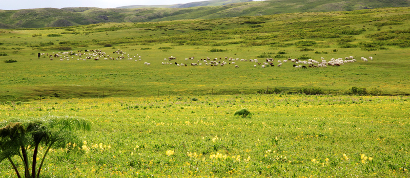 �����ǿ˲�ԭ10