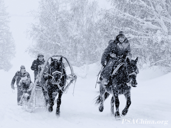 011.��Ծ��Ʒ������ѩ·�̡�The snow away.jpg