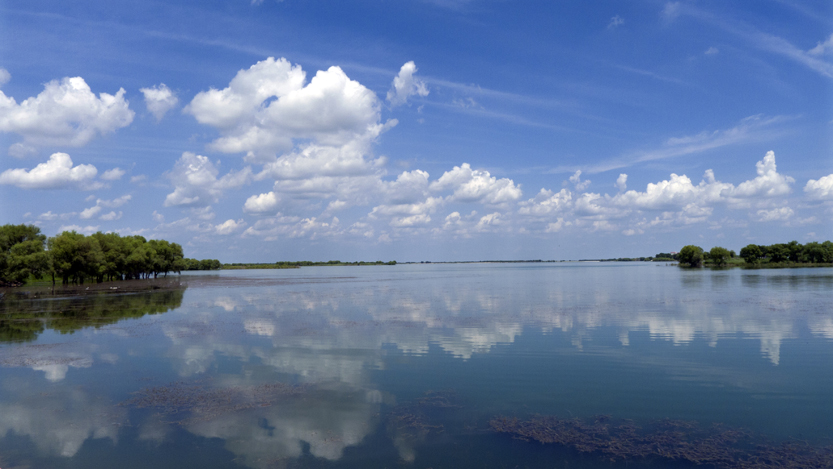 P1010915 ����.jpg