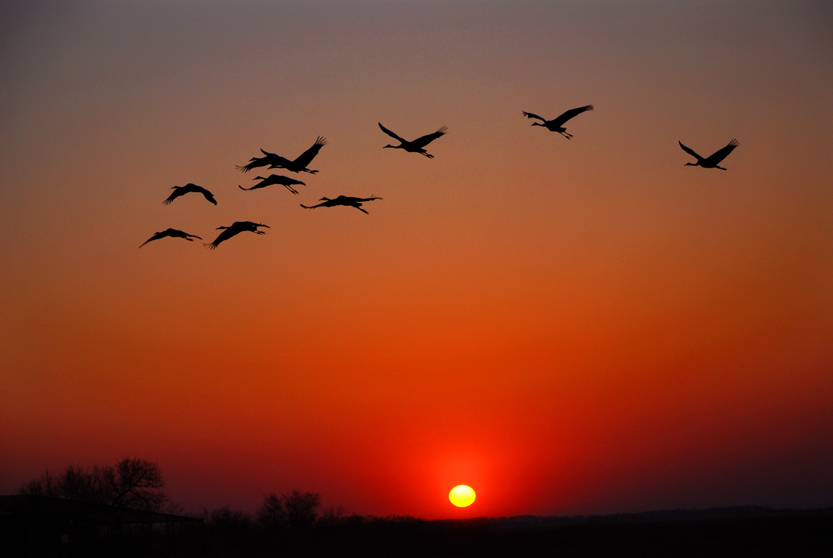 986 ����.jpg