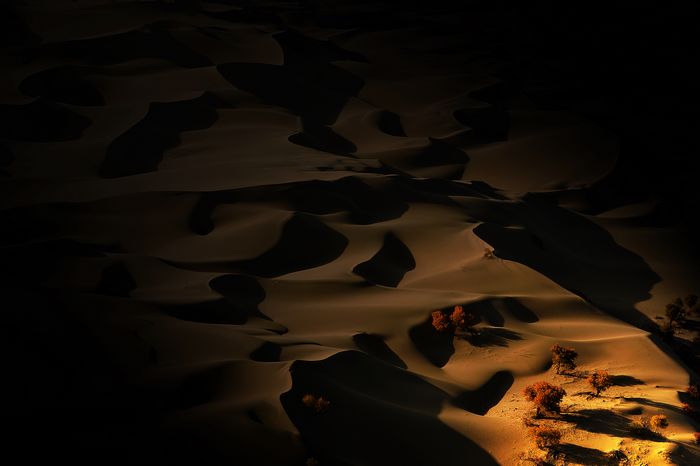 ���������ɳĮ  ��Χ  ��Ծ