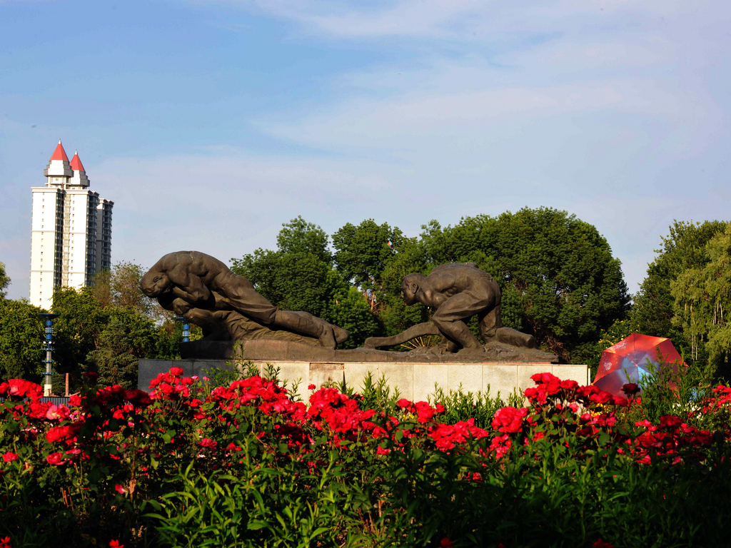 ���ѵ�һ��