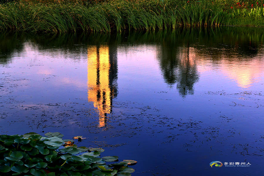 DSC_4963 ����.jpg