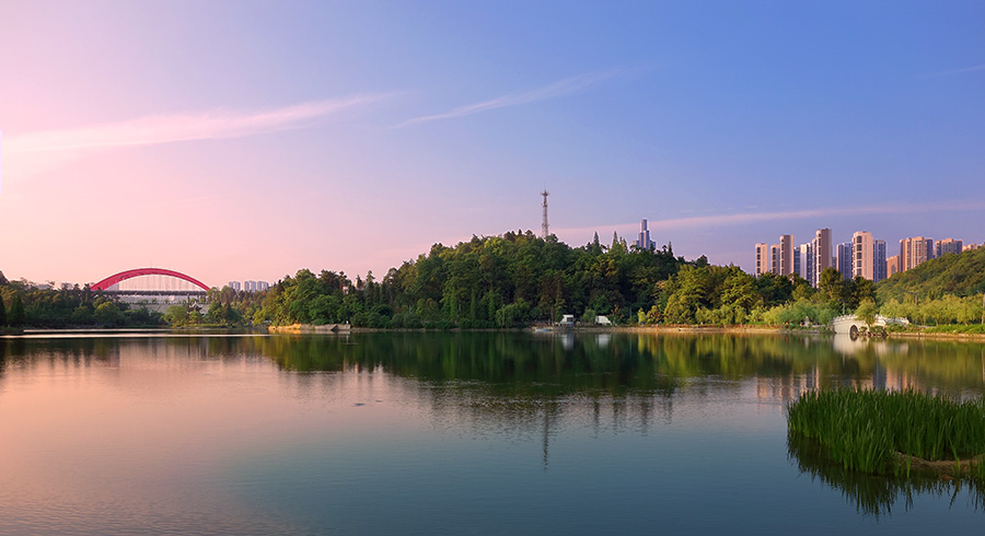 DSC02497 ����.jpg