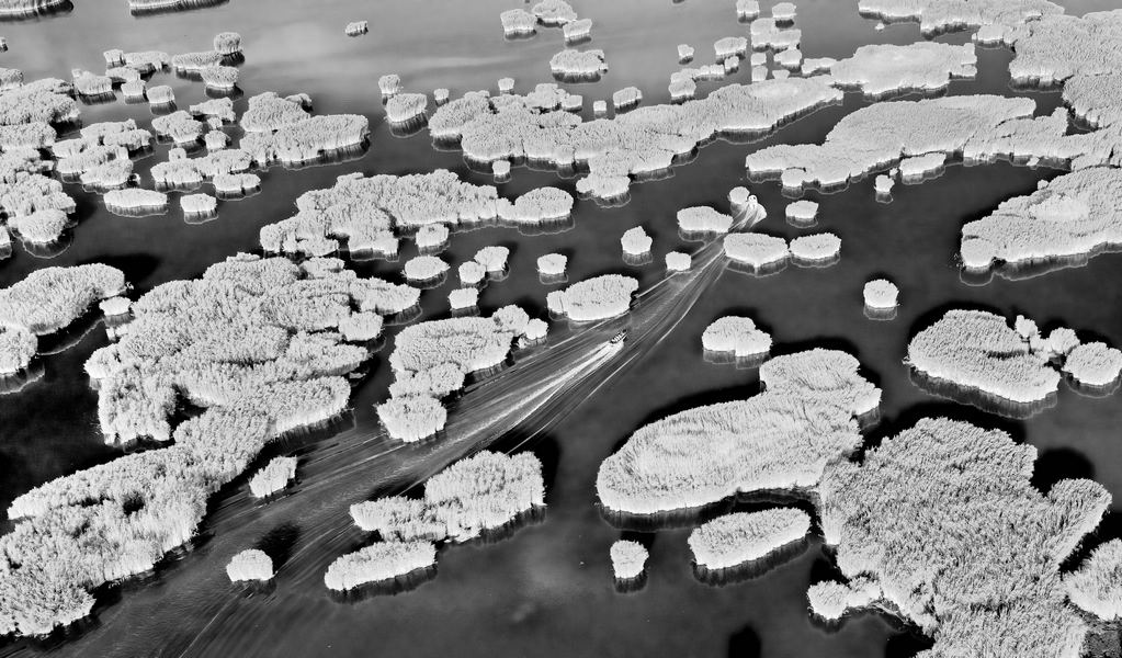 ��˼����   ��־��