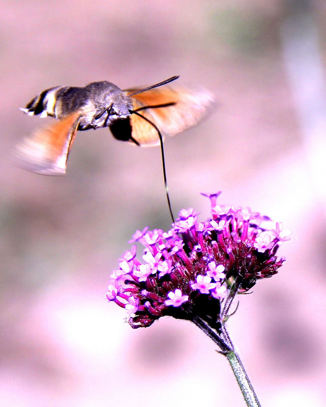 11.��֮��     �����.jpg