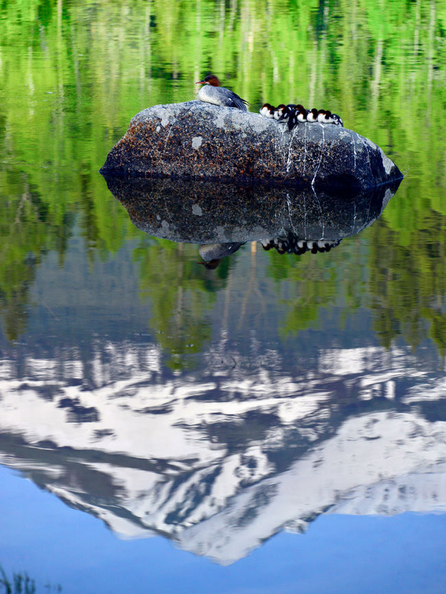 013.�����һƬ����   ����.jpg