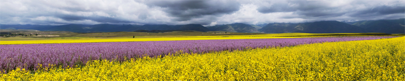 _MG_4859 Panorama..jpg