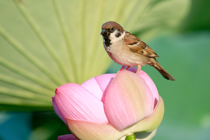 a IMG_9941����.jpg