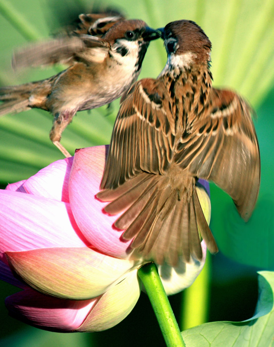 a IMG_9928����.jpg