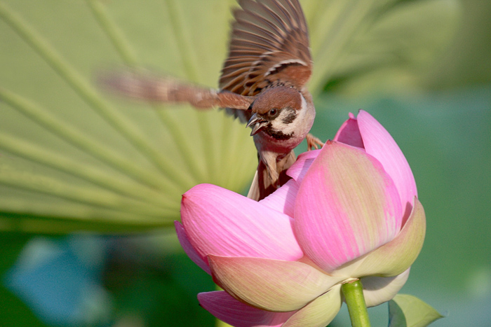 a IMG_9934����.jpg