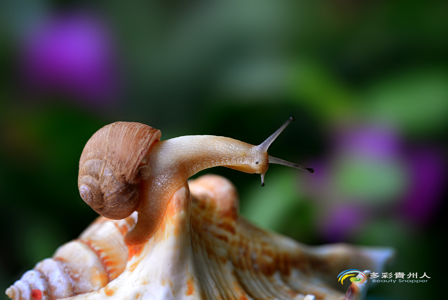 DSC_5783 ����.jpg