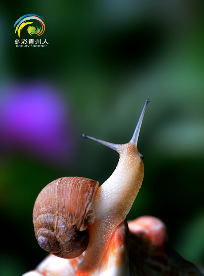 DSC_5789 ����.jpg