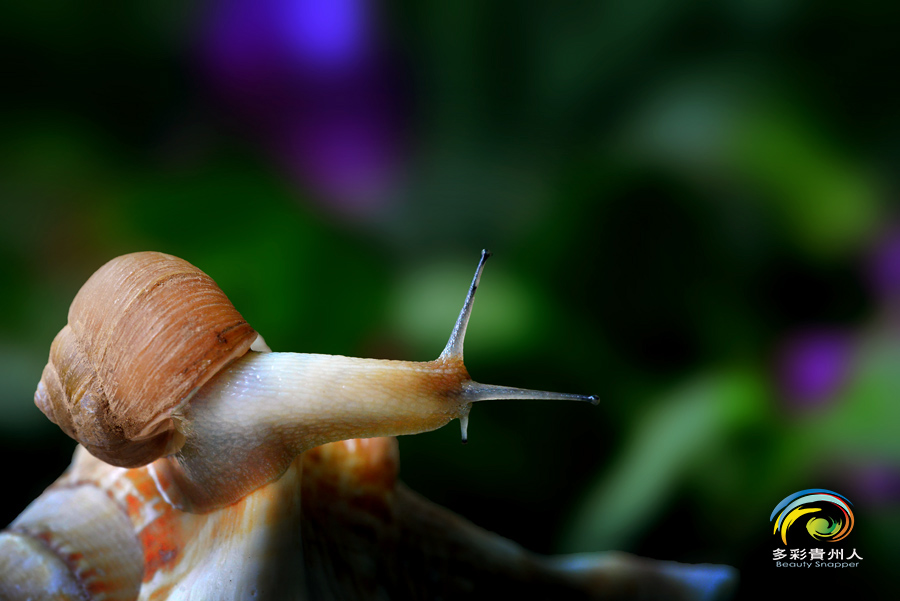 DSC_5733 ����.jpg