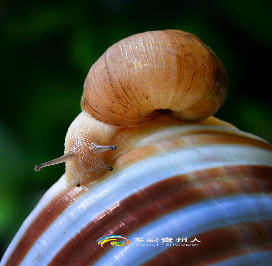 DSC_5628 ����.jpg