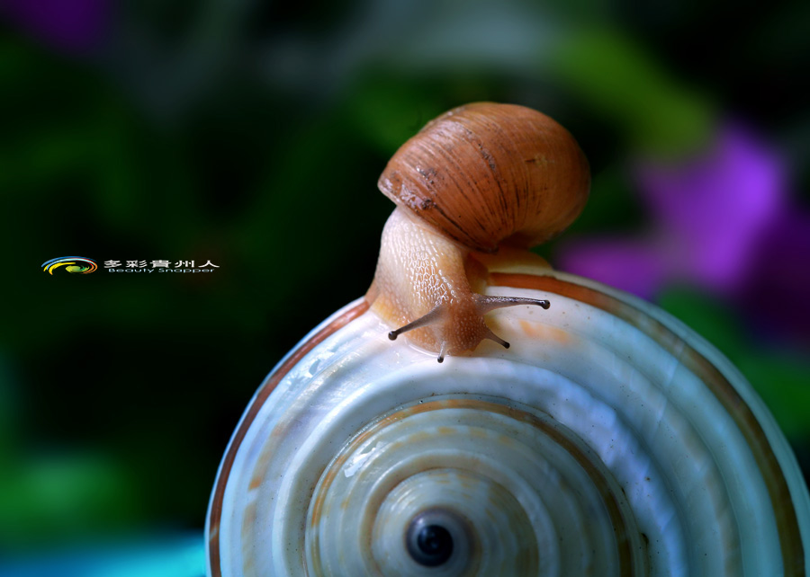 DSC_5624 ����.jpg