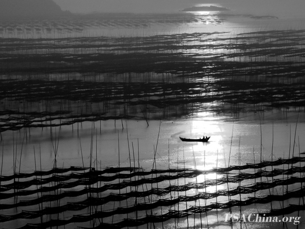 10.��������Ʒ�������۳��ء�Morning of habour.jpg