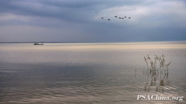 11.�˽�����Ʒ����̫�����ۢ�Solitary boat in Taihu Lake ��.jpg