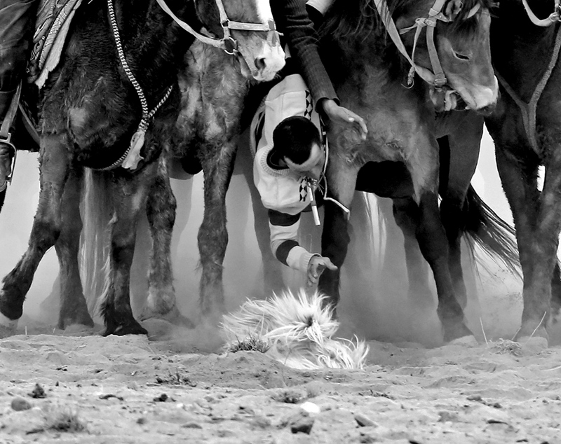 7     9B7A6677-1.jpg